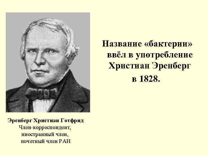  Название «бактерии» ввёл в употребление Христиан Эренберг в 1828. Эренберг Христиан Готфрид Член-корреспондент,