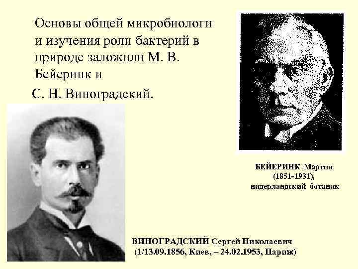  Основы общей микробиологи и изучения роли бактерий в природе заложили М. В. Бейеринк