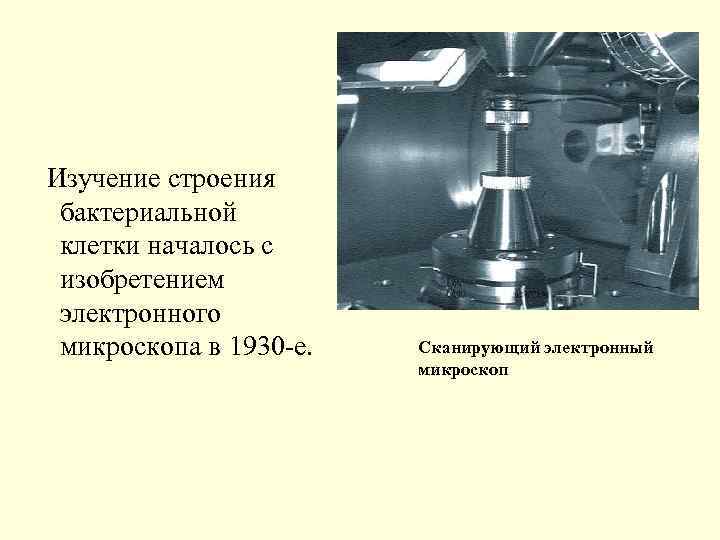 Изучение строения бактериальной клетки началось с изобретением электронного микроскопа в 1930 -е. Сканирующий электронный