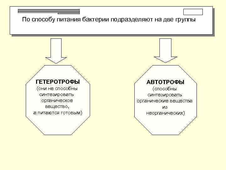  По способу питания бактерии подразделяют на две группы ГЕТЕРОТРОФЫ АВТОТРОФЫ (они не способны