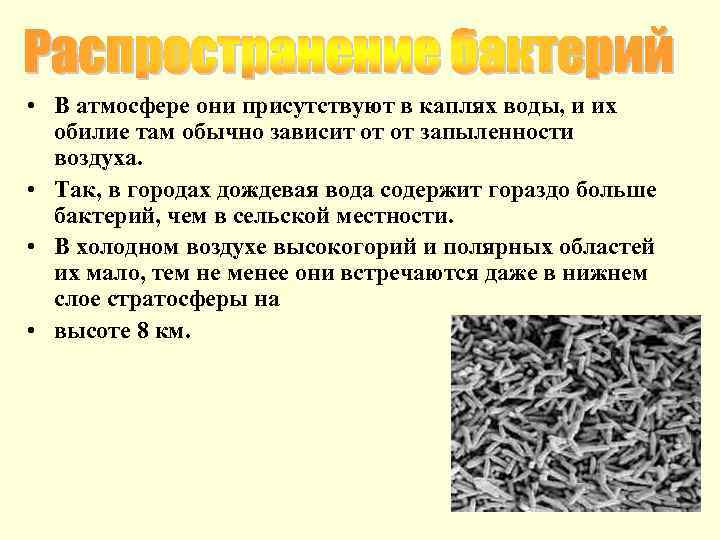  • В атмосфере они присутствуют в каплях воды, и их обилие там обычно