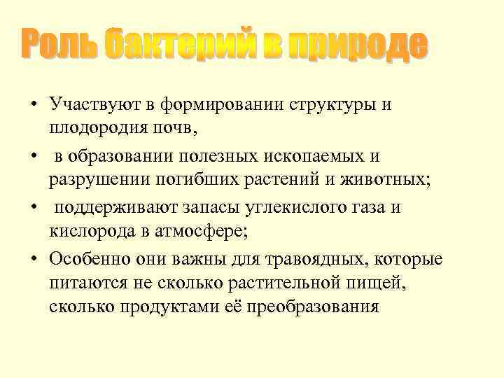  • Участвуют в формировании структуры и плодородия почв, • в образовании полезных ископаемых