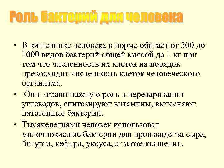  • В кишечнике человека в норме обитает от 300 до 1000 видов бактерий