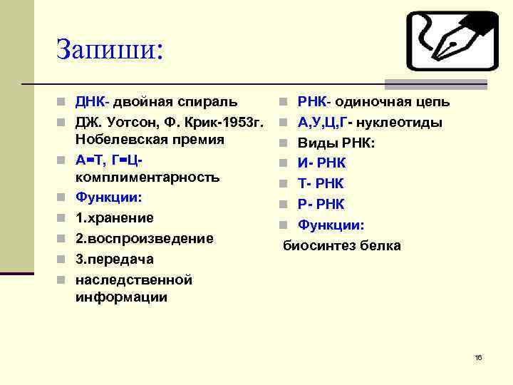 Запиши: n ДНК- двойная спираль n РНК- одиночная цепь n ДЖ. Уотсон, Ф. Крик-1953