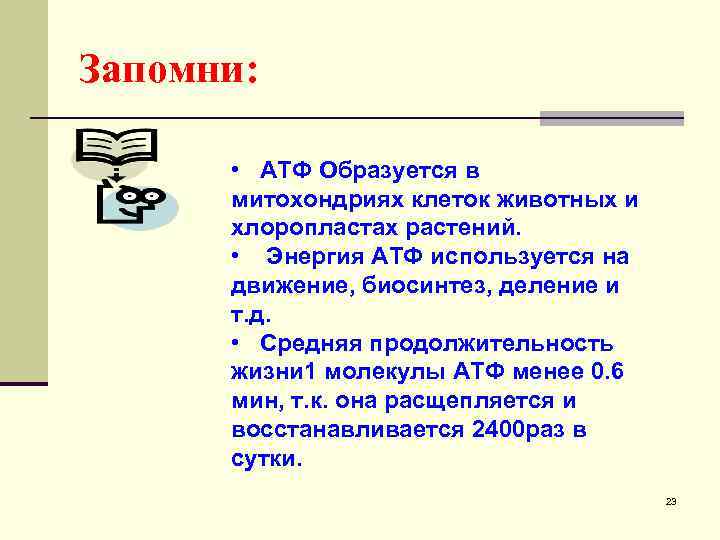 Запомни: • АТФ Образуется в митохондриях клеток животных и хлоропластах растений. • Энергия АТФ