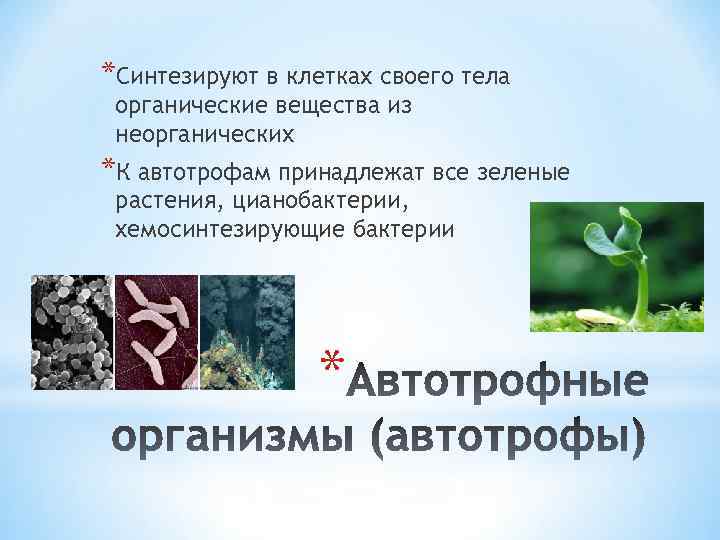 *Синтезируют в клетках своего тела органические вещества из неорганических *К автотрофам принадлежат все зеленые