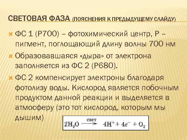 СВЕТОВАЯ ФАЗА (ПОЯСНЕНИЯ К ПРЕДЫДУЩЕМУ СЛАЙДУ) ФС 1 (Р 700) – фотохимический центр, Р