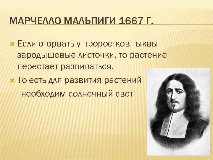 МАРЧЕЛЛО МАЛЬПИГИ 1667 Г. Если оторвать у проростков тыквы зародышевые листочки, то растение перестает