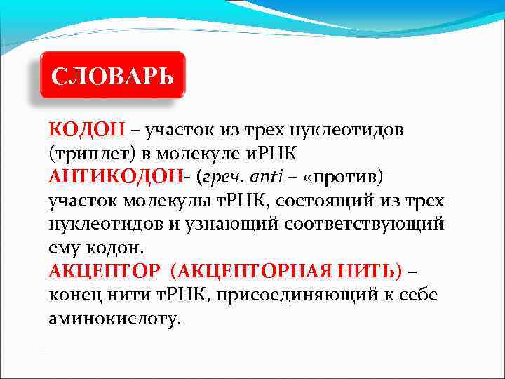 Термин кодон. Триплет кодон антикодон. Антикодон это в биологии кратко. Антикодон и кодон различия.