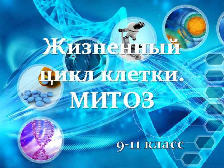 Жизненный цикл клетки. МИТОЗ 9 -11 класс 