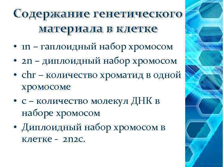 Содержание генетического материала в клетке • 1 n – гаплоидный набор хромосом • 2