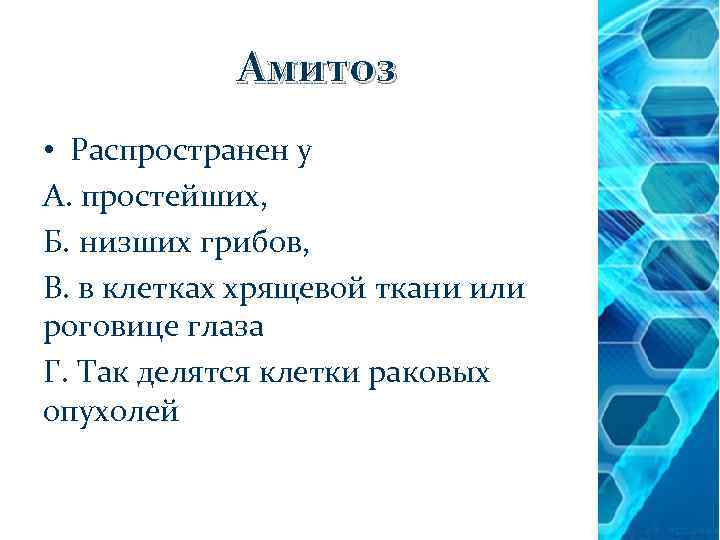 Амитоз • Распространен у А. простейших, Б. низших грибов, В. в клетках хрящевой ткани