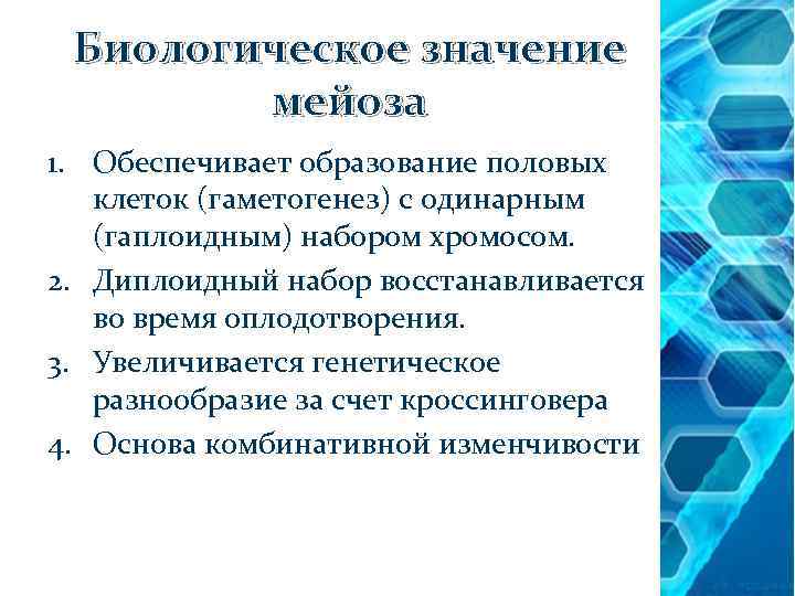 Биологическое значение мейоза 1. Обеспечивает образование половых клеток (гаметогенез) с одинарным (гаплоидным) набором хромосом.