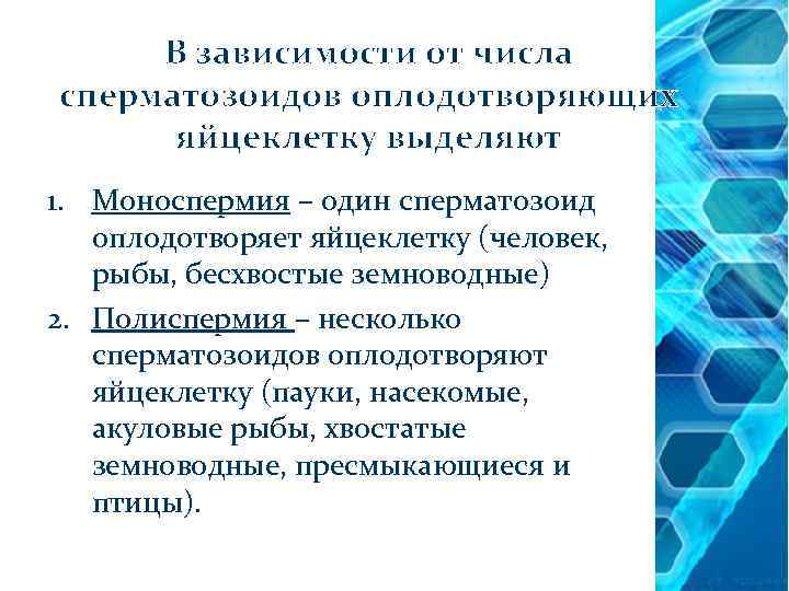 В зависимости от числа сперматозоидов оплодотворяющих яйцеклетку выделяют 1. Моноспермия – один сперматозоид оплодотворяет