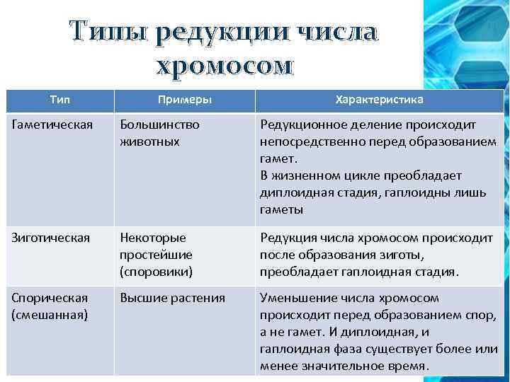Типы редукции числа хромосом Тип Примеры Характеристика Гаметическая Большинство животных Редукционное деление происходит непосредственно