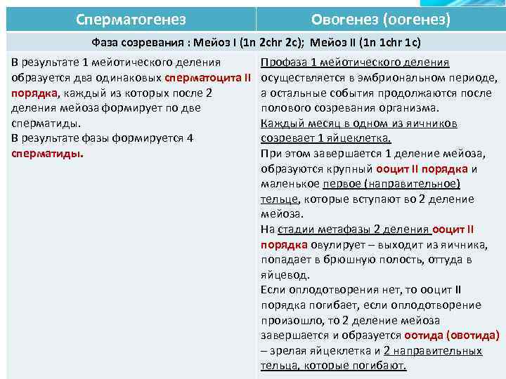 Сперматогенез Овогенез (оогенез) Фаза созревания : Мейоз I (1 n 2 chr 2 c);