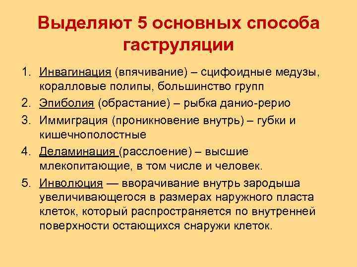Выделяют 5 основных способа гаструляции 1. Инвагинация (впячивание) – сцифоидные медузы, коралловые полипы, большинство