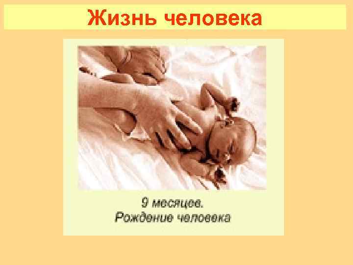 Жизнь человека 