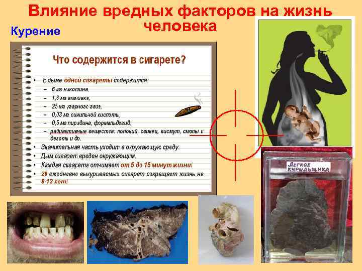 Влияние вредных факторов на жизнь человека Курение 