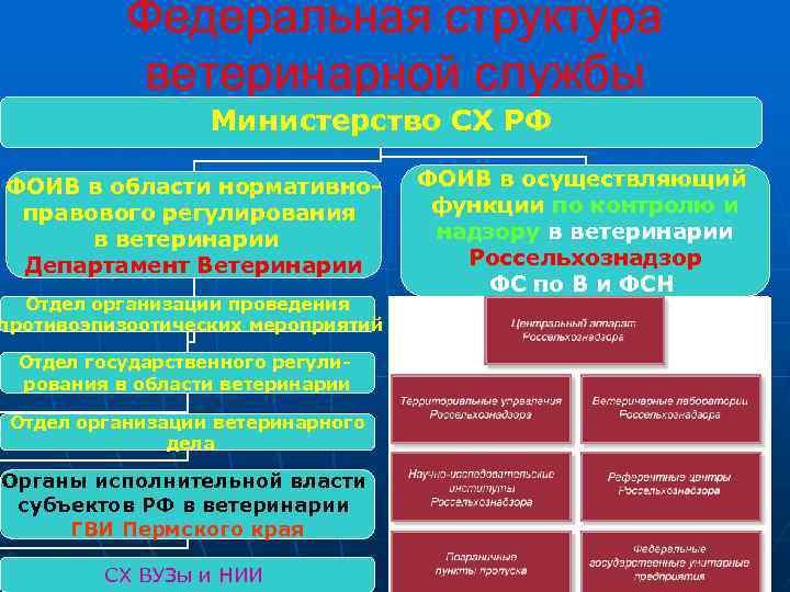 Федеральная структура ветеринарной службы Министерство СХ РФ ФОИВ в области нормативноправового регулирования в ветеринарии