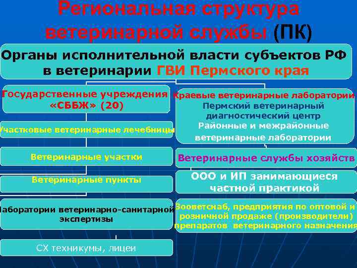 Региональная структура ветеринарной службы (ПК) Органы исполнительной власти субъектов РФ в ветеринарии ГВИ Пермского