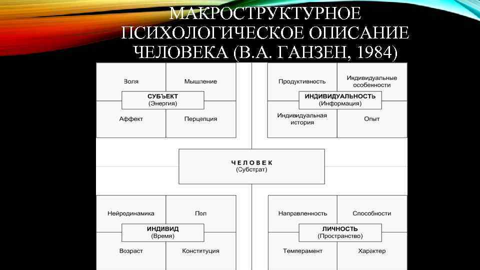 МАКРОСТРУКТУРНОЕ ПСИХОЛОГИЧЕСКОЕ ОПИСАНИЕ ЧЕЛОВЕКА (В. А. ГАНЗЕН, 1984) 