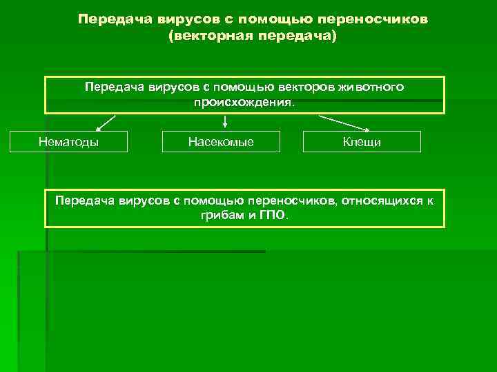 Передача вирусов с помощью переносчиков (векторная передача) Передача вирусов с помощью векторов животного происхождения.