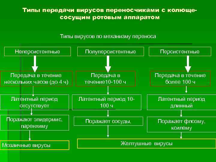 Виды передачи вирусов. Типы передачи вирусов. Пути передачи вирусов. Способы передания вирусов.