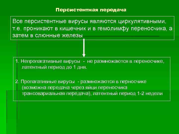 Персистентная передача Все персистентные вирусы являются циркулятивными, т. е. проникают в кишечник и в