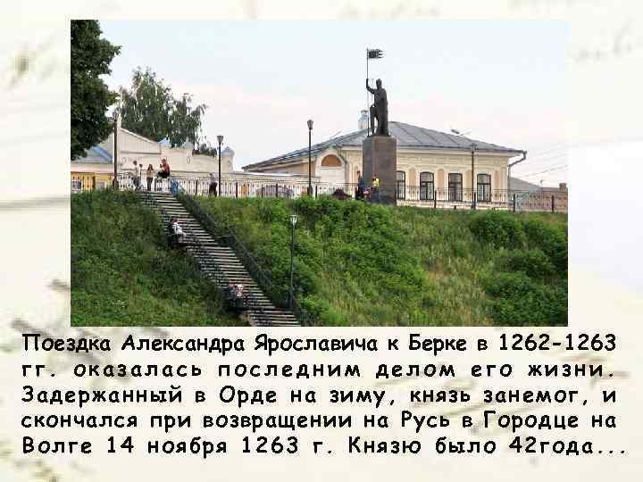 Поездка Александра Ярославича к Берке в 1262 -1263 гг. оказалась последним делом его жизни.