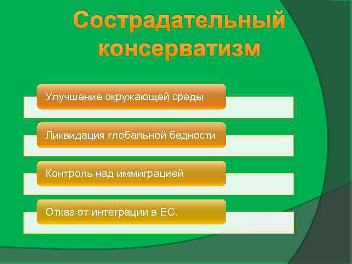 Сострадательный консерватизм Улучшение окружающей среды Ликвидация глобальной бедности Контроль над иммиграцией Отказ от интеграции