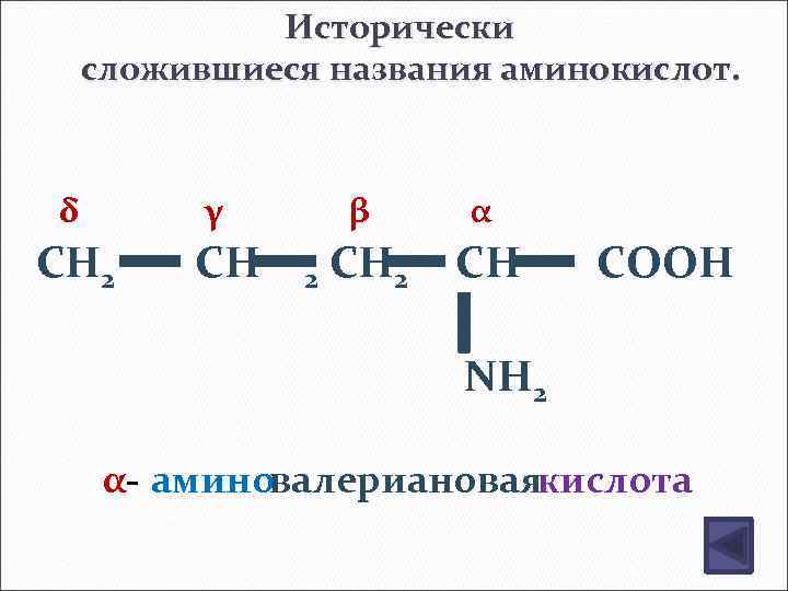 Исторически сложившиеся названия аминокислот. δ γ CH 2 CH β 2 α CH 2