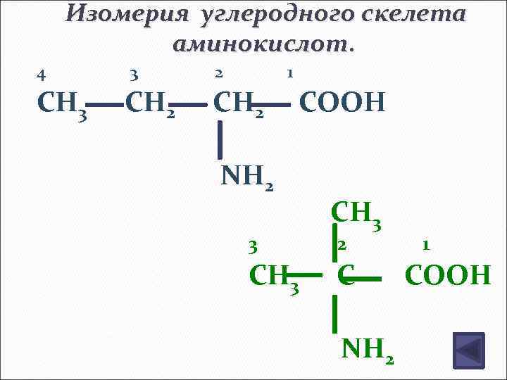 Изомерия углеродного скелета аминокислот. 4 CH 3 3 CH 2 2 1 CH 2