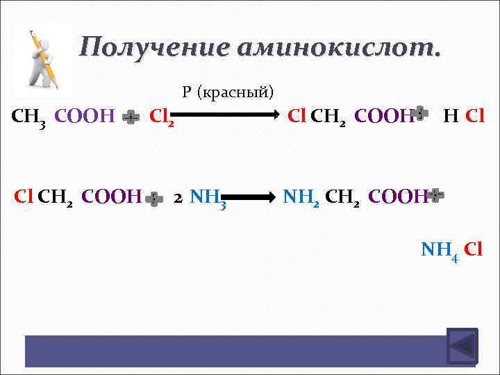 Получение аминокислот. P (красный) СН 3 СООН Сl СН 2 СООН Сl 2 2