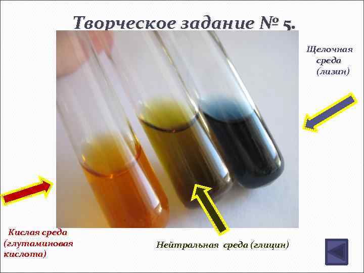 Творческое задание № 5. Щелочная среда (лизин) Кислая среда (глутаминовая кислота) Нейтральная среда (глицин)