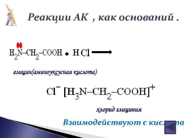 Реакции АК , как оснований. глицин(аминоуксусная кислота) хлорид глициния Взаимодействуют с кислота 