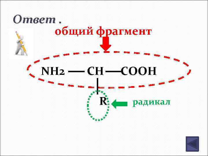 Ответ. общий фрагмент NH 2 CH R COOH радикал 