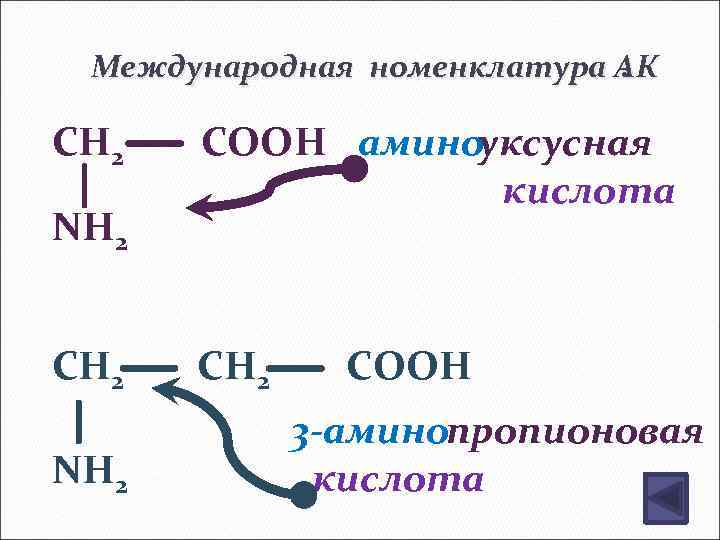 Международная номенклатура АК. CH 2 NH 2 COOH аминоуксусная кислота CH 2 COOH 3