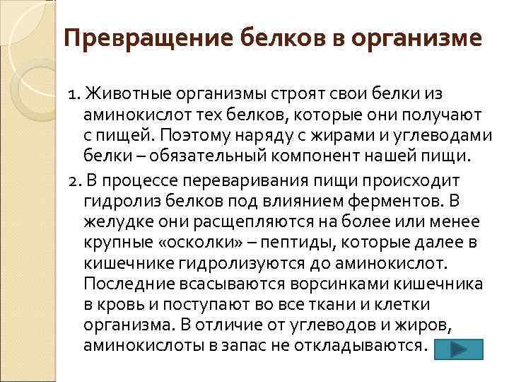 Схема превращения белков в организме