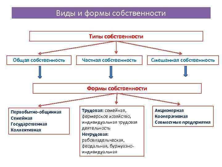 Виды и формы собственности Типы собственности Общая собственность Частная собственность Смешанная собственность Формы собственности