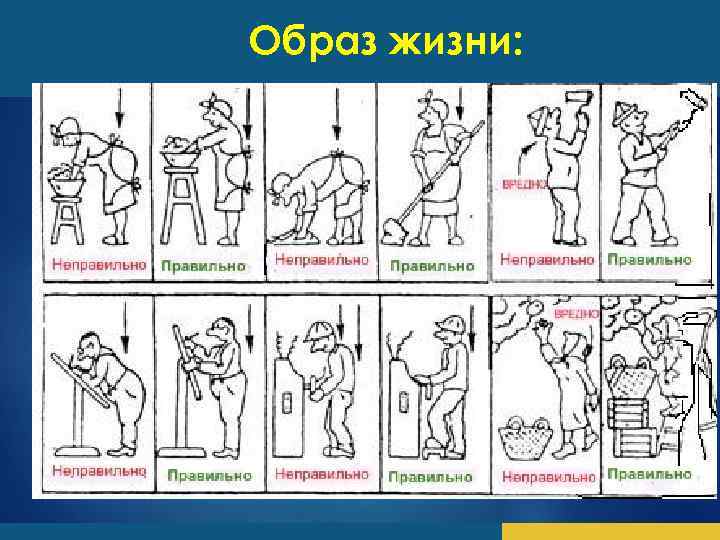 Образ жизни: 