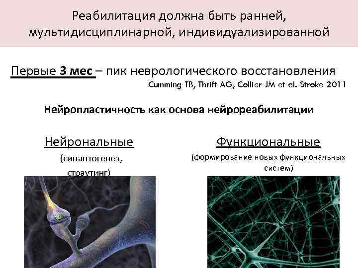 Реабилитация должна быть ранней, мультидисциплинарной, индивидуализированной Первые 3 мес – пик неврологического восстановления Cumming