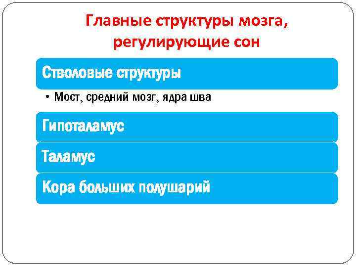 Главные структуры мозга, регулирующие сон Стволовые структуры • Мост, средний мозг, ядра шва Гипоталамус