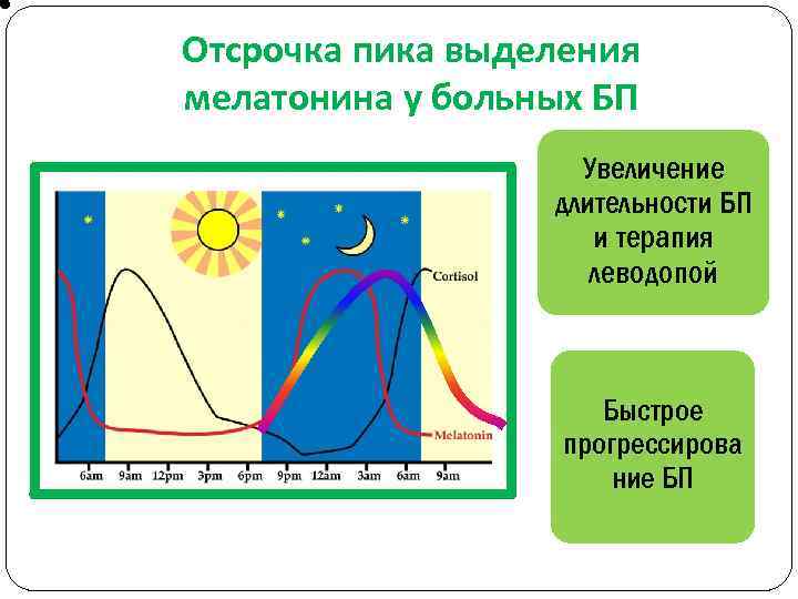 Отсрочка пика выделения мелатонина у больных БП Увеличение длительности БП и терапия леводопой Быстрое