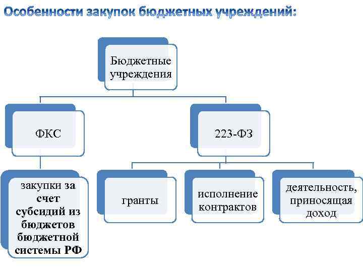 Бюджетные учреждения ФКС закупки за счет субсидий из бюджетов бюджетной системы РФ 223 -ФЗ