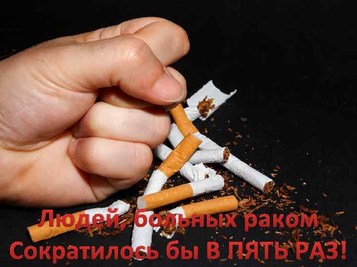 Людей, больных раком Сократилось бы В ПЯТЬ РАЗ! 