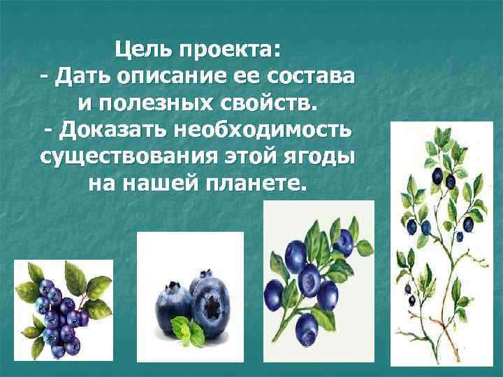 Цель проекта: - Дать описание ее состава и полезных свойств. - Доказать необходимость существования