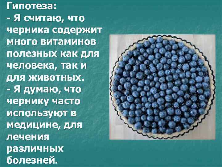 Гипотеза: - Я считаю, что черника содержит много витаминов полезных как для человека, так