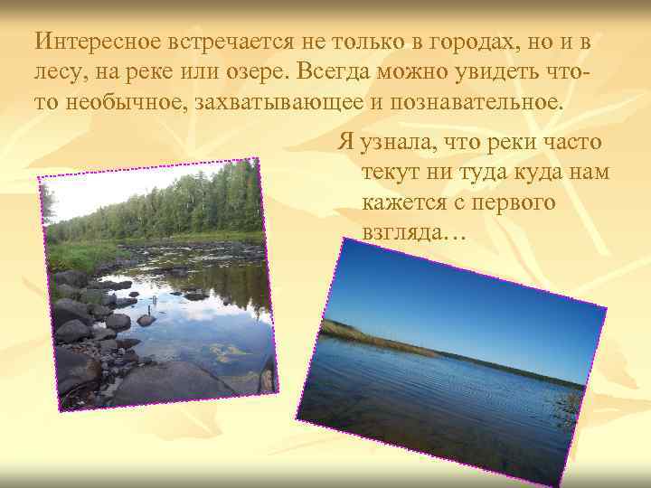 Интересное встречается не только в городах, но и в лесу, на реке или озере.