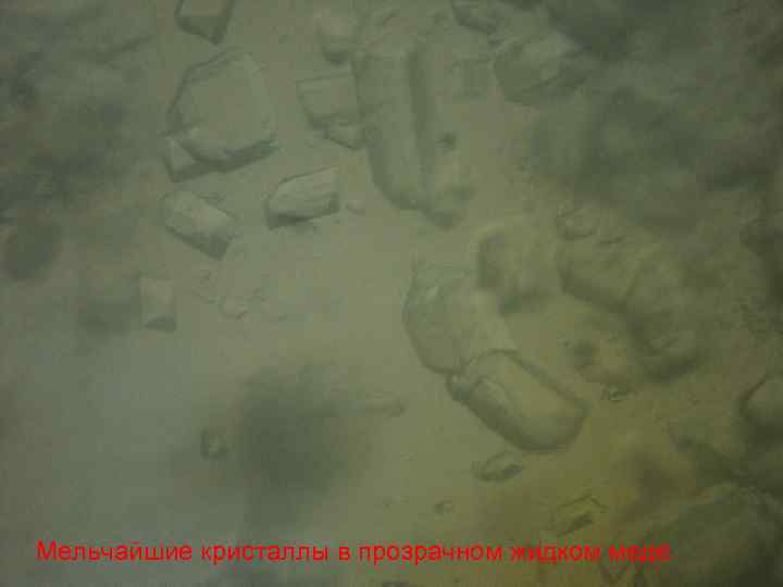 Мельчайшие кристаллы в прозрачном жидком меде 